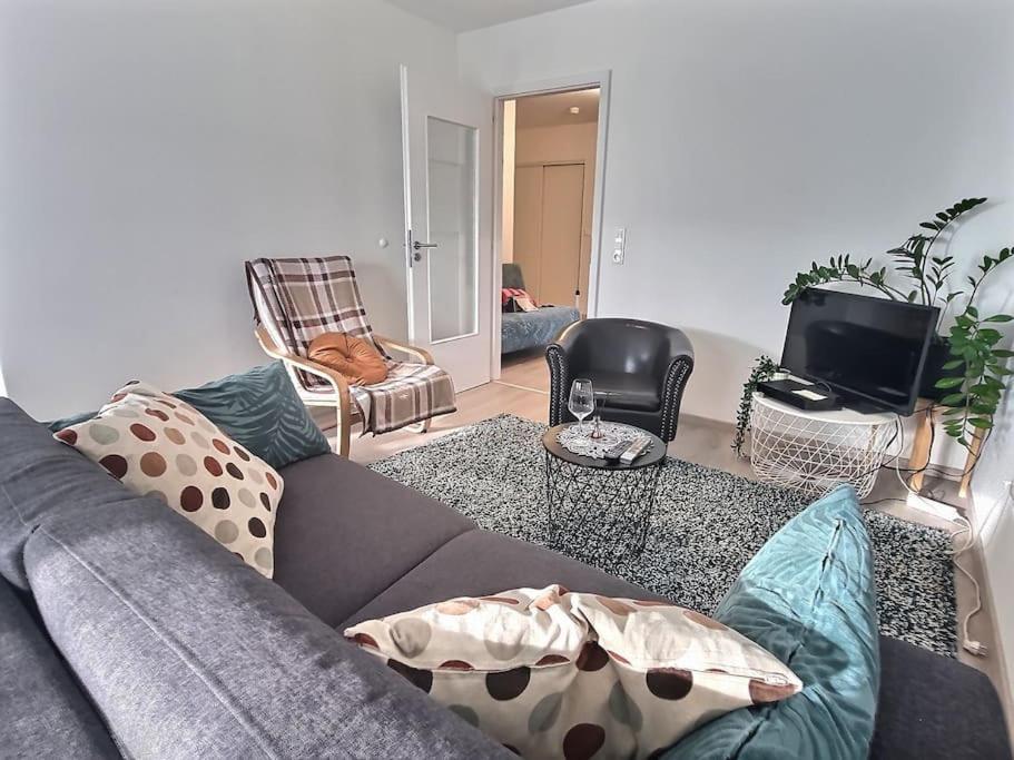 Superbe Appartement Avec 2 Balcons - Vue Sur La Cathedrale Environ 15 Min En Tram Strasbourg Exterior photo