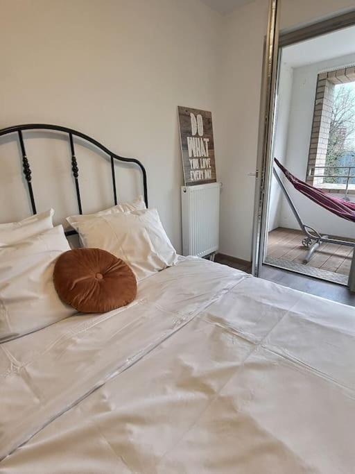 Superbe Appartement Avec 2 Balcons - Vue Sur La Cathedrale Environ 15 Min En Tram Strasbourg Exterior photo